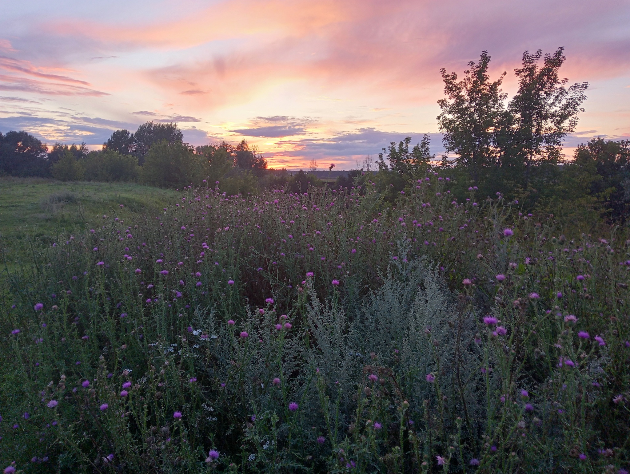 Evening walk - Life stories, Walk, Sunset, The photo, Longpost