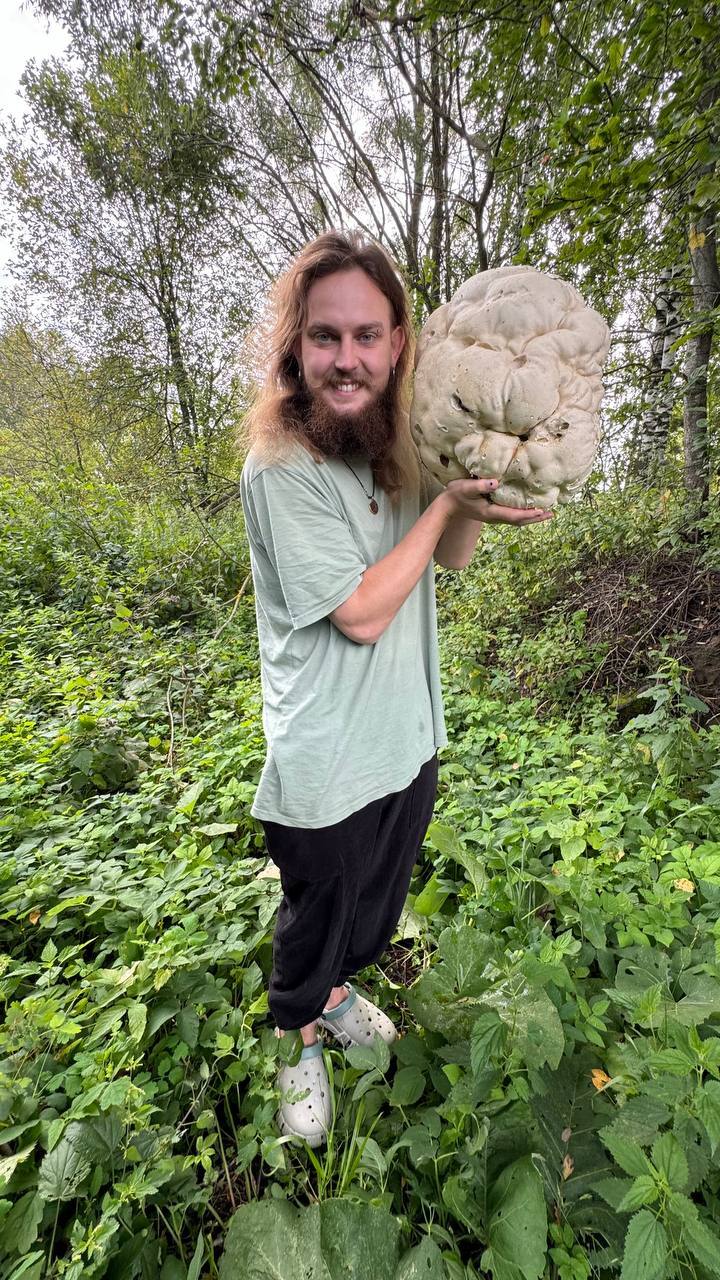 Giant mushroom - My, Mushrooms, Biology, Video, Vertical video, Longpost, Giants, The photo