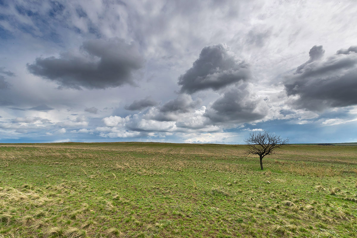 Loneliness - My, Steppe, Rostov region