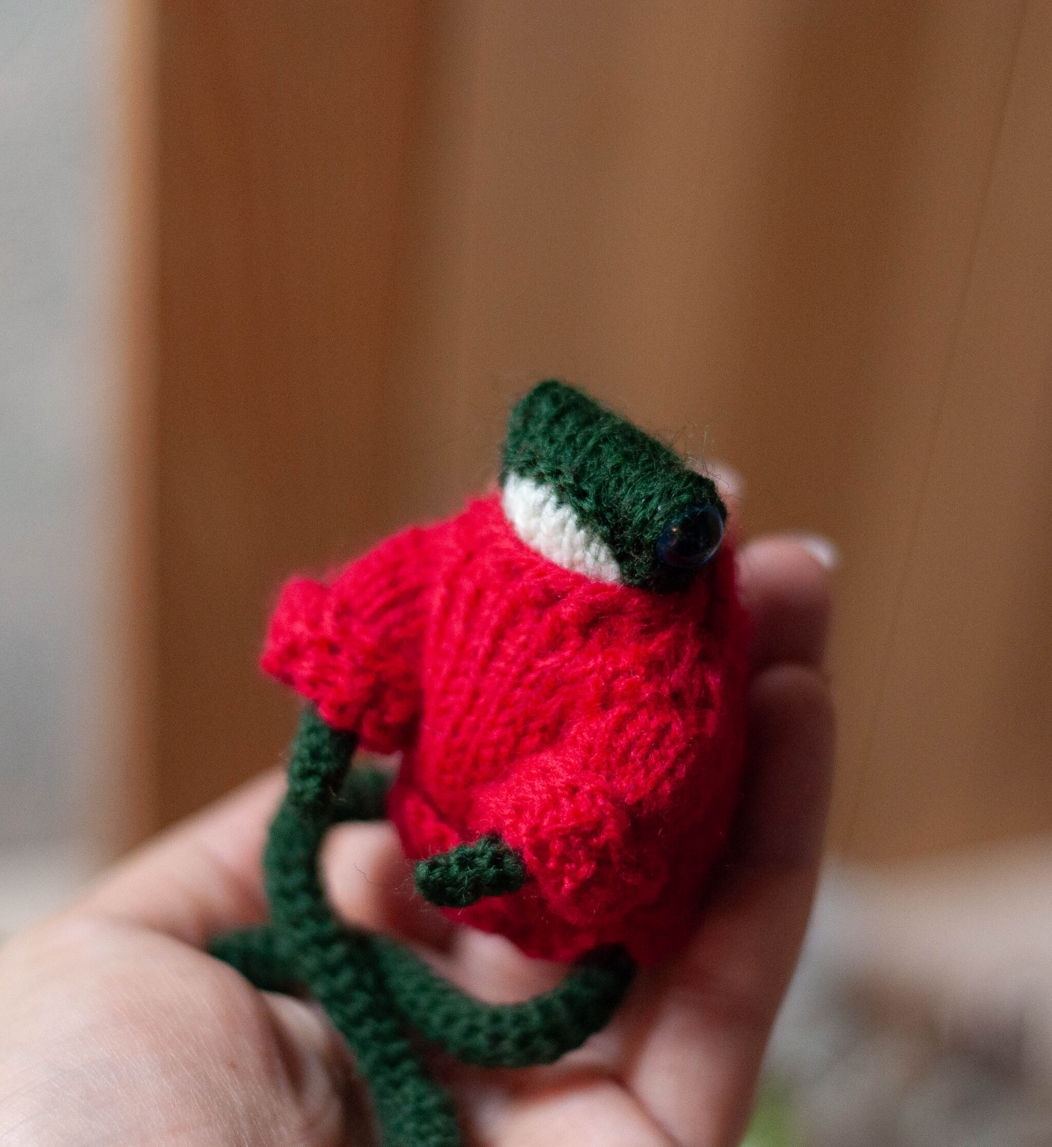 Bright frog in a red sweater - My, Toad, Frogs, Knitting, Decor, Pocket animals, Needlework, Handmade, Needlework without process, Wind in the willows, Author's toy, Knitting, Presents, Amigurumi, Knitted toys, Crochet, Longpost