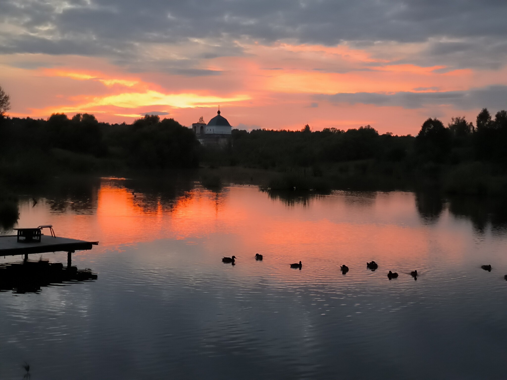 Sunset - Nature, Art, Pond, Relaxation, Sunset, cat, The photo