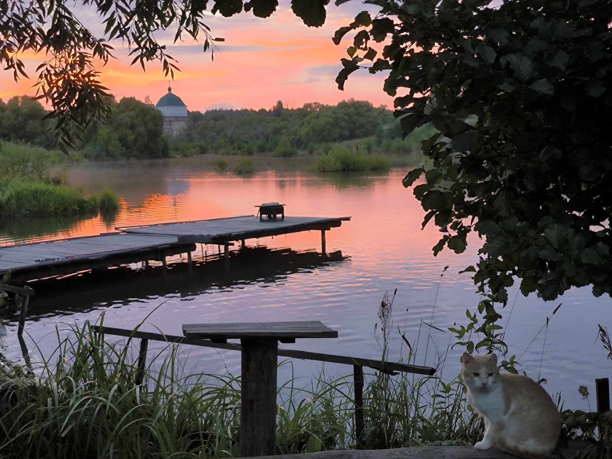 Sunset - Nature, Art, Pond, Relaxation, Sunset, cat, The photo