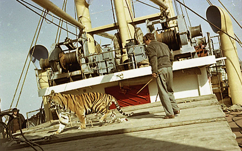 How the film Striped Flight was filmed: footage from the filming and 23 interesting facts about the film - Striped Flight, Soviet cinema, Soviet actors, Photos from filming, Spoiler, Yandex Zen, Yandex Zen (link), Longpost