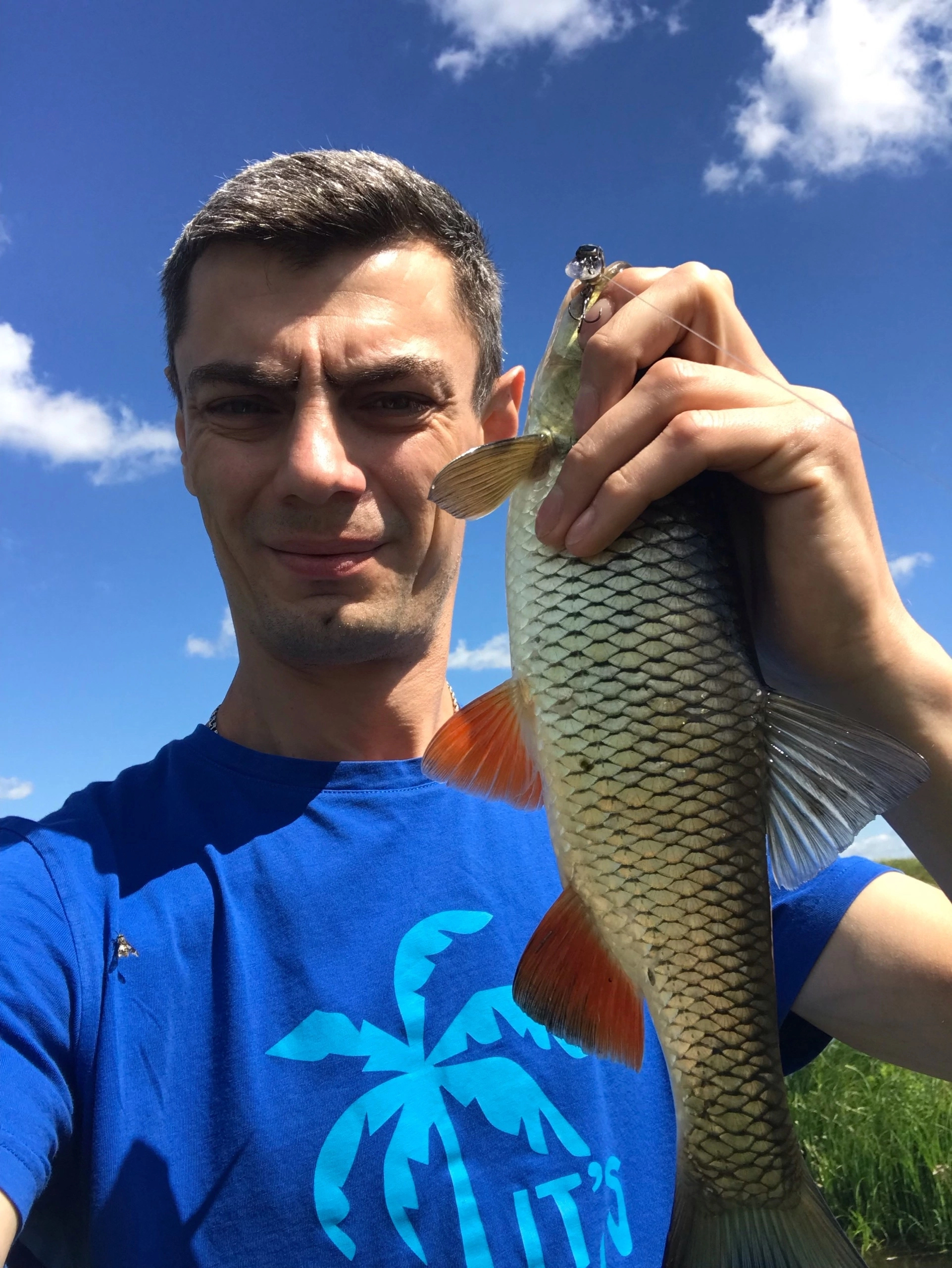 Chub and perch - fishing with one wobbler - My, Fishing, Catch, Longpost, The photo