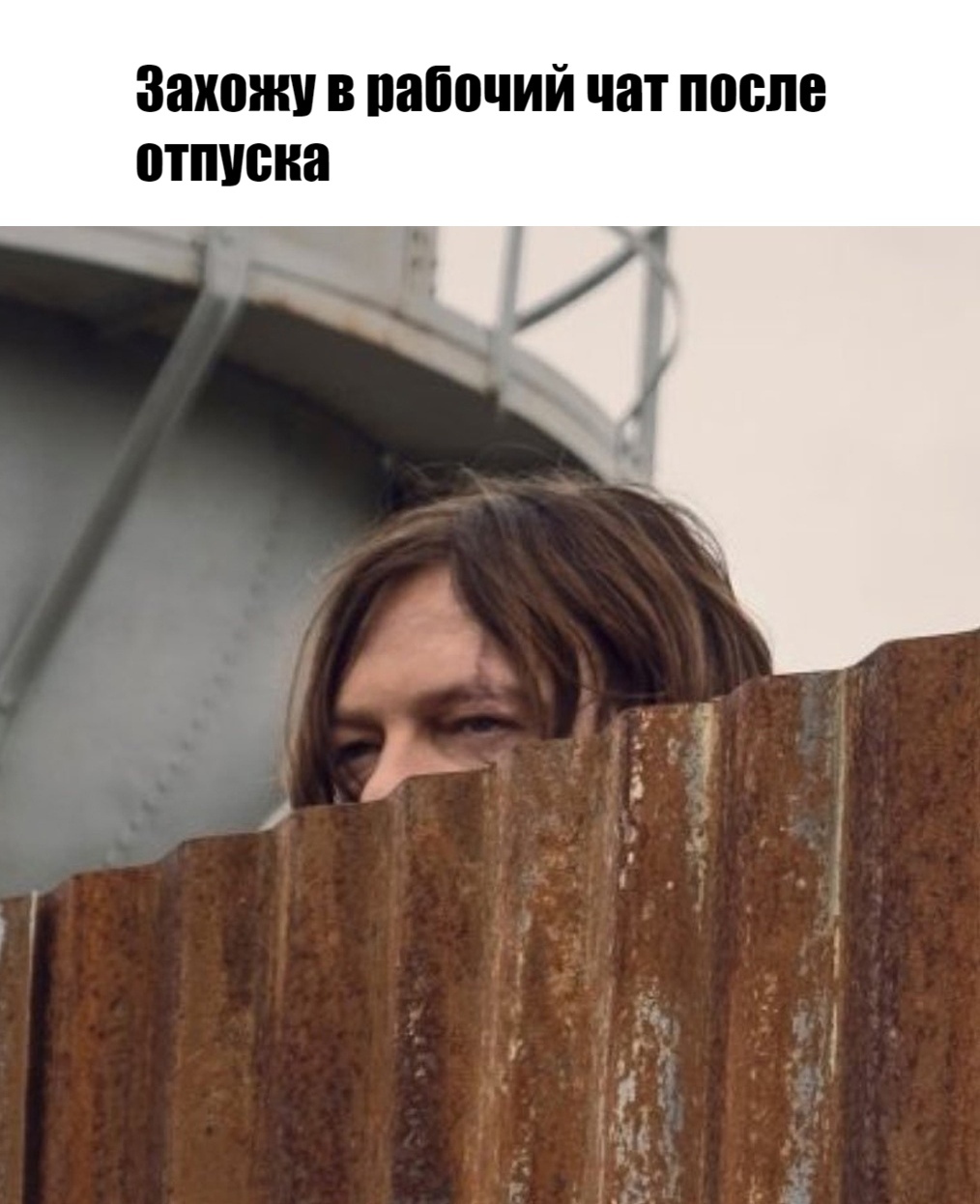 I didn't really want to go back - Memes, Work, Vacation, Colleagues, Picture with text, Norman Reedus