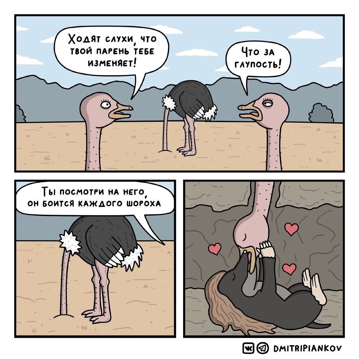 Love is evil - Picture with text, Humor, Comics, Mole, Ostrich, Dmitripiankov