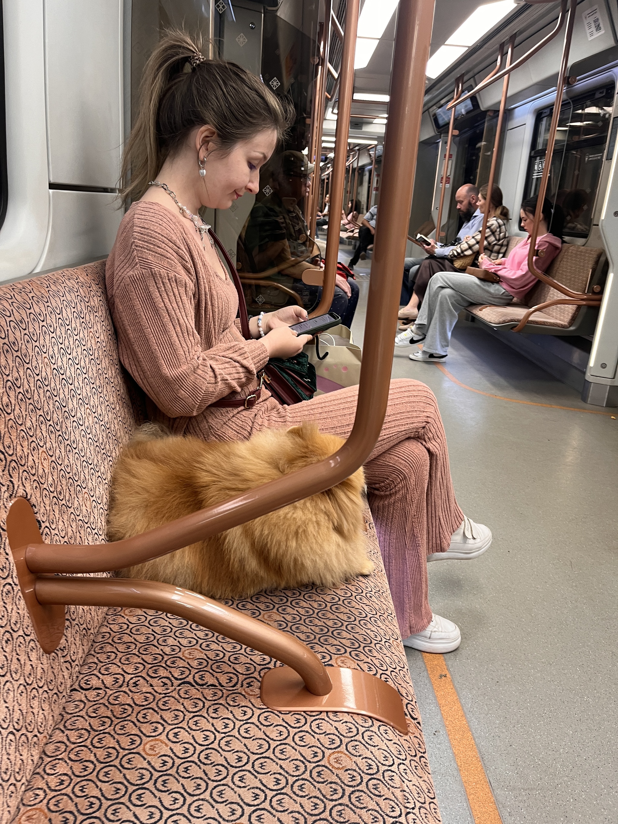 Another achotakova in the Moscow metro - My, Rudeness, Metro, Dog, Moscow Metro, The photo, Negative, Girls, Disgusting