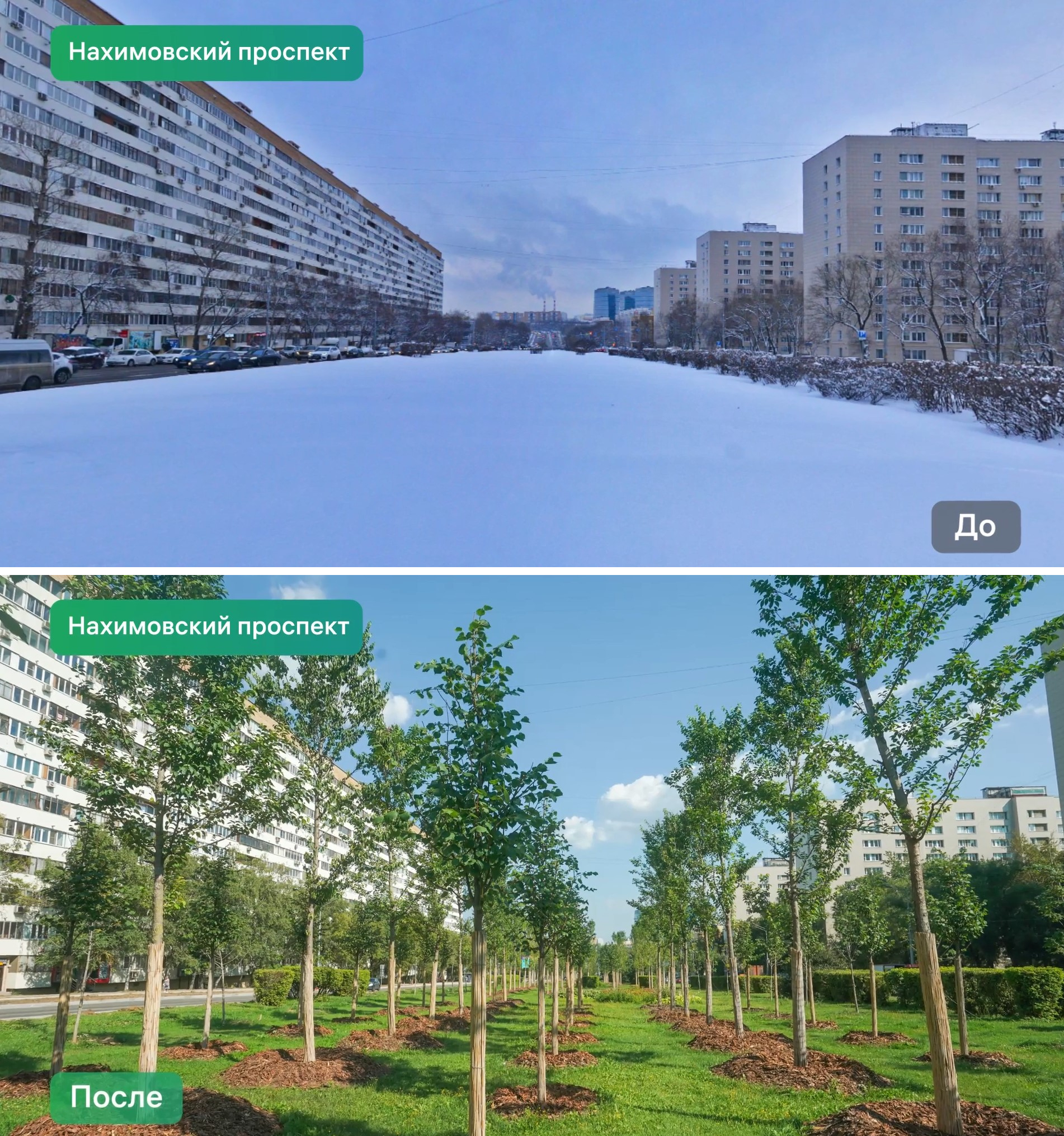 Greening of highways and major streets of Moscow. Photos before/after - It Was-It Was, Landscaping, Ecology, Beautification, Road, Moscow, Longpost