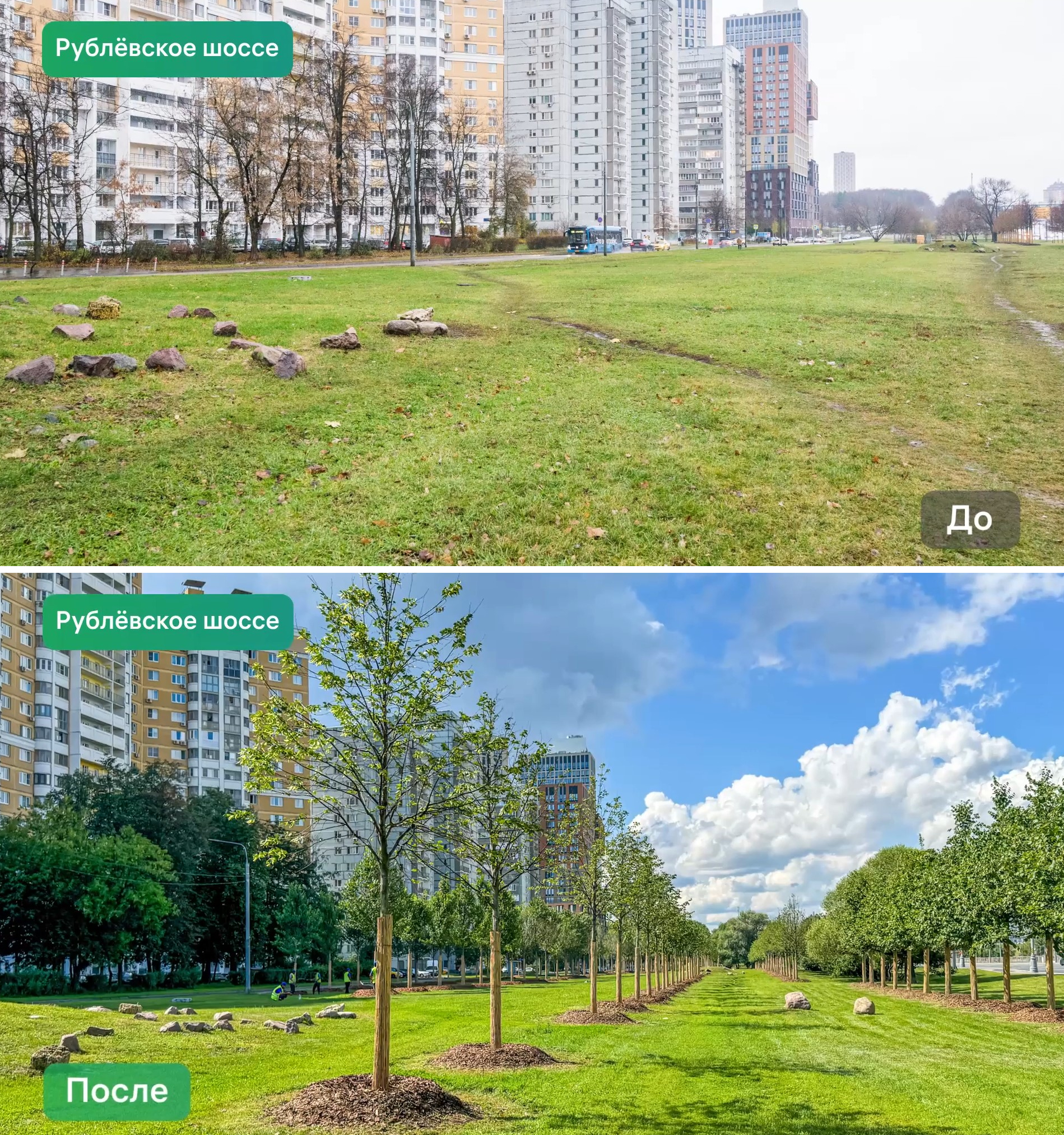 Greening of highways and major streets of Moscow. Photos before/after - It Was-It Was, Landscaping, Ecology, Beautification, Road, Moscow, Longpost