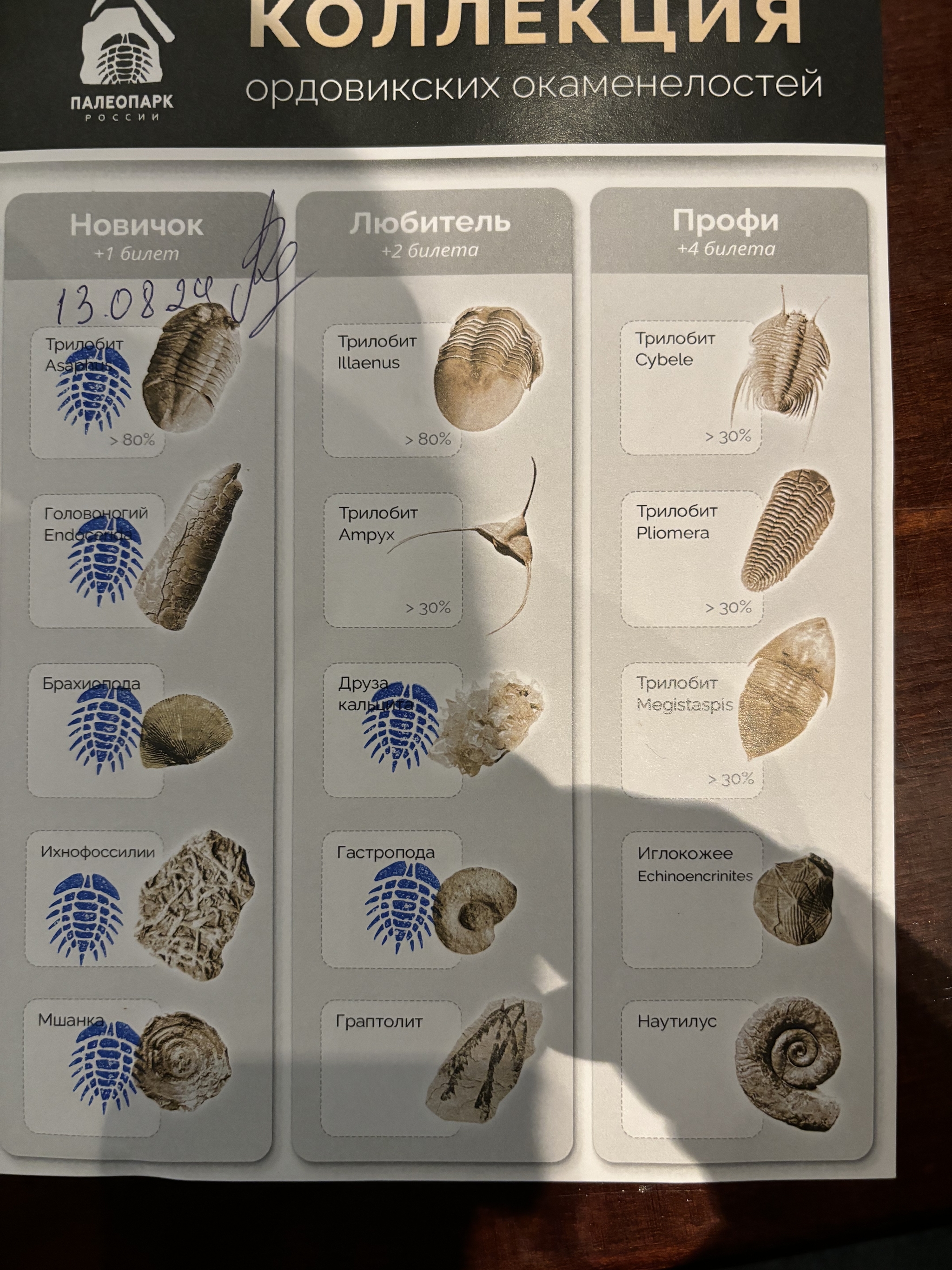 Putilovo and Peregino - My, Paleontology, Trilobites, Longpost