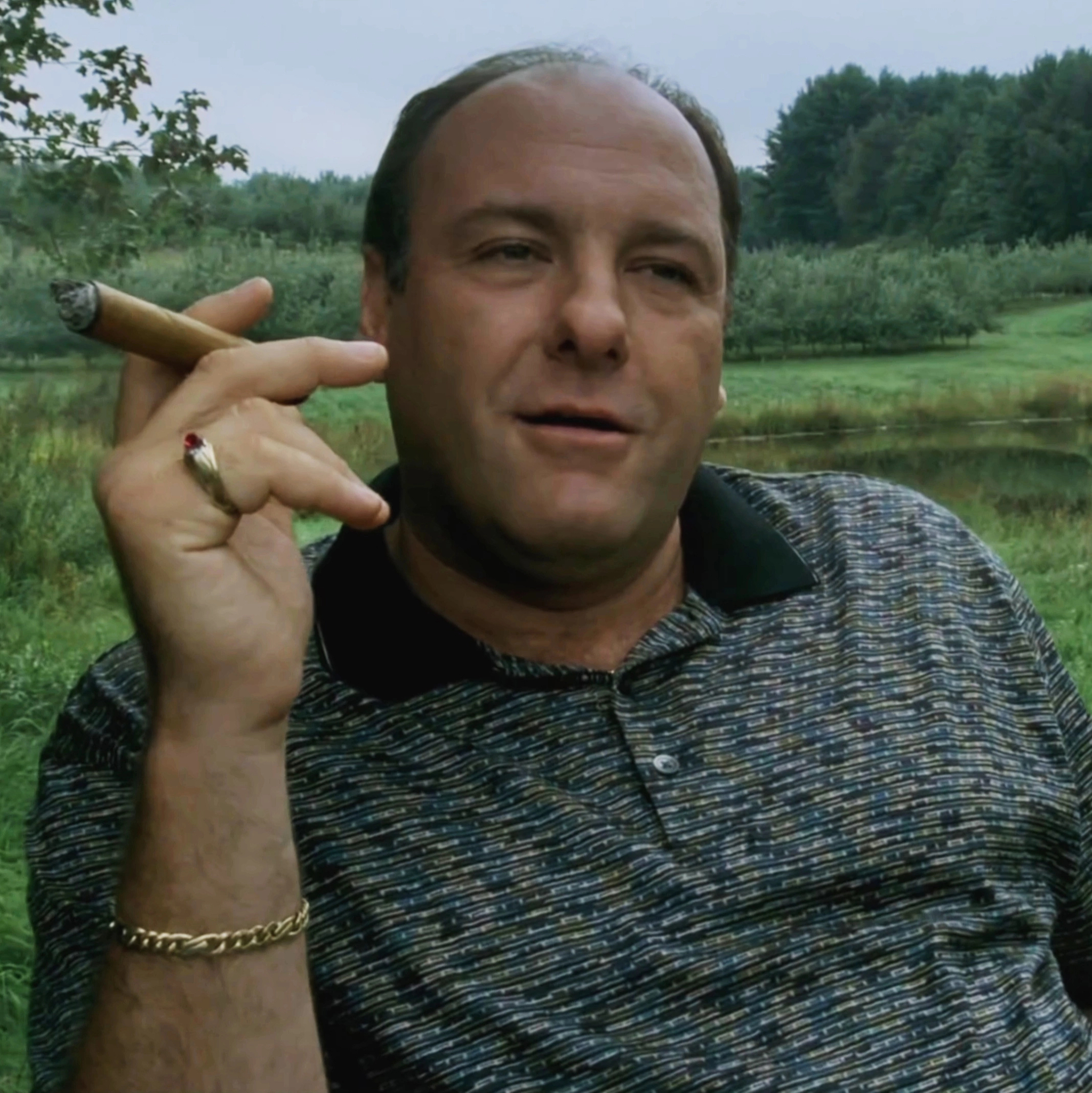 Soprano - a masterpiece? - My, Serials, Foreign serials, Mafia, James Gandolfini, Mat, Longpost