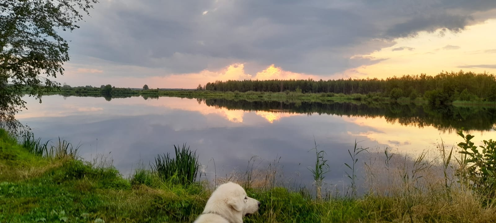 7 химий позади) - Моё, Деревня, Мобильная фотография, Рак и онкология, Жизнь, Лечение, Длиннопост