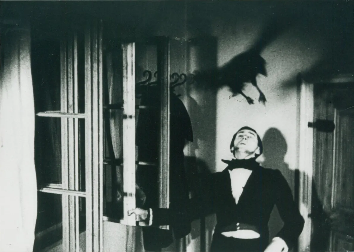 Quoth the Raven: Nevermore. List and review of film adaptations of Edgar Allan Poe's The Raven - Crow, Edgar Allan Poe, Poem, Poetry, Screen adaptation, Longpost