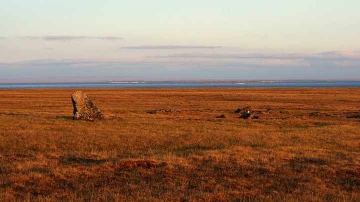 Kopalchen - an unusual and deadly northern delicacy - Informative, Food, Meat, Want to know everything, Around the world, Exotic, Tundra, Permafrost, Raw, North, Chukchi, Evenki, Yandex Zen (link), Longpost, Nenets, Digestion, Delicacy, Danger