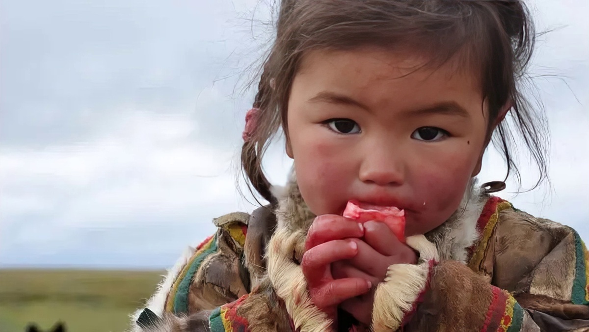 Kopalchen - an unusual and deadly northern delicacy - Informative, Food, Meat, Want to know everything, Around the world, Exotic, Tundra, Permafrost, Raw, North, Chukchi, Evenki, Yandex Zen (link), Longpost, Nenets, Digestion, Delicacy, Danger