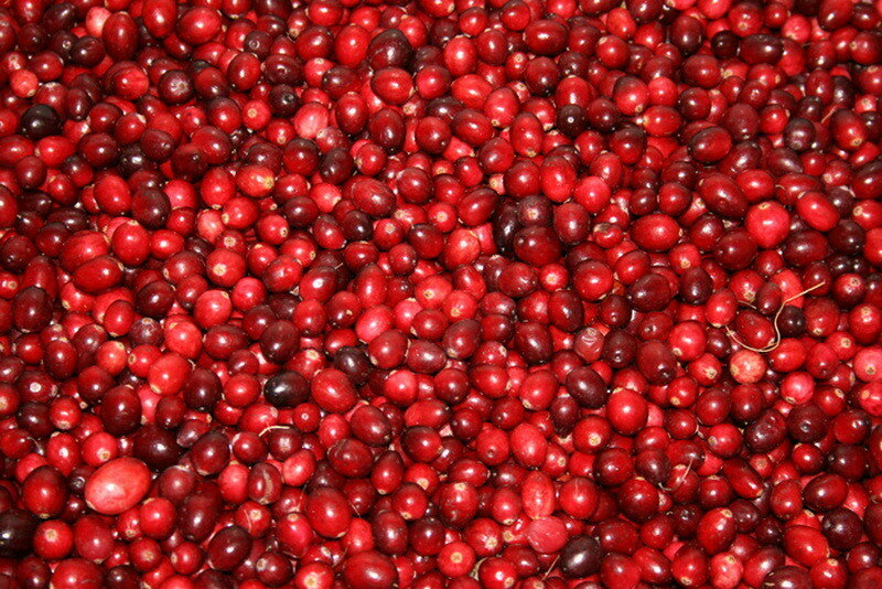 How cranberries are harvested in Belarus - How is it done, Сельское хозяйство, Production, Republic of Belarus, Cranberry, Longpost