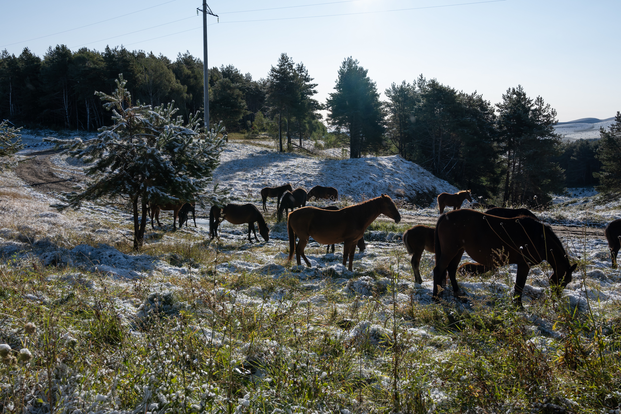 September 10, 2023 just outside Kislovodsk. Snow o_O!!! - My, The mountains, Caucasus mountains, Caucasian Mineral Waters, Elbrus, Snow, Jily-Su, Longpost