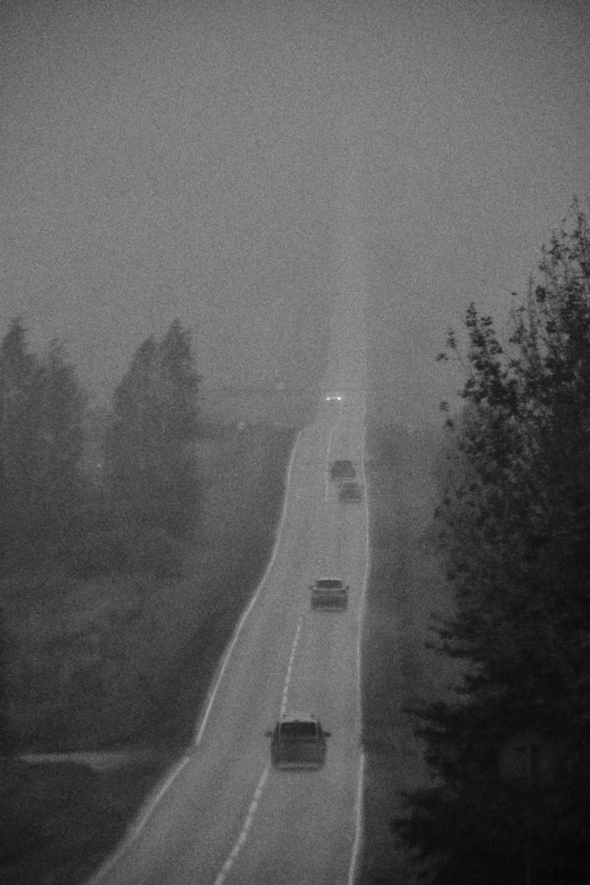 In the fog - My, The photo, Black and white photo, Path, Road, Fog, Rain, Track