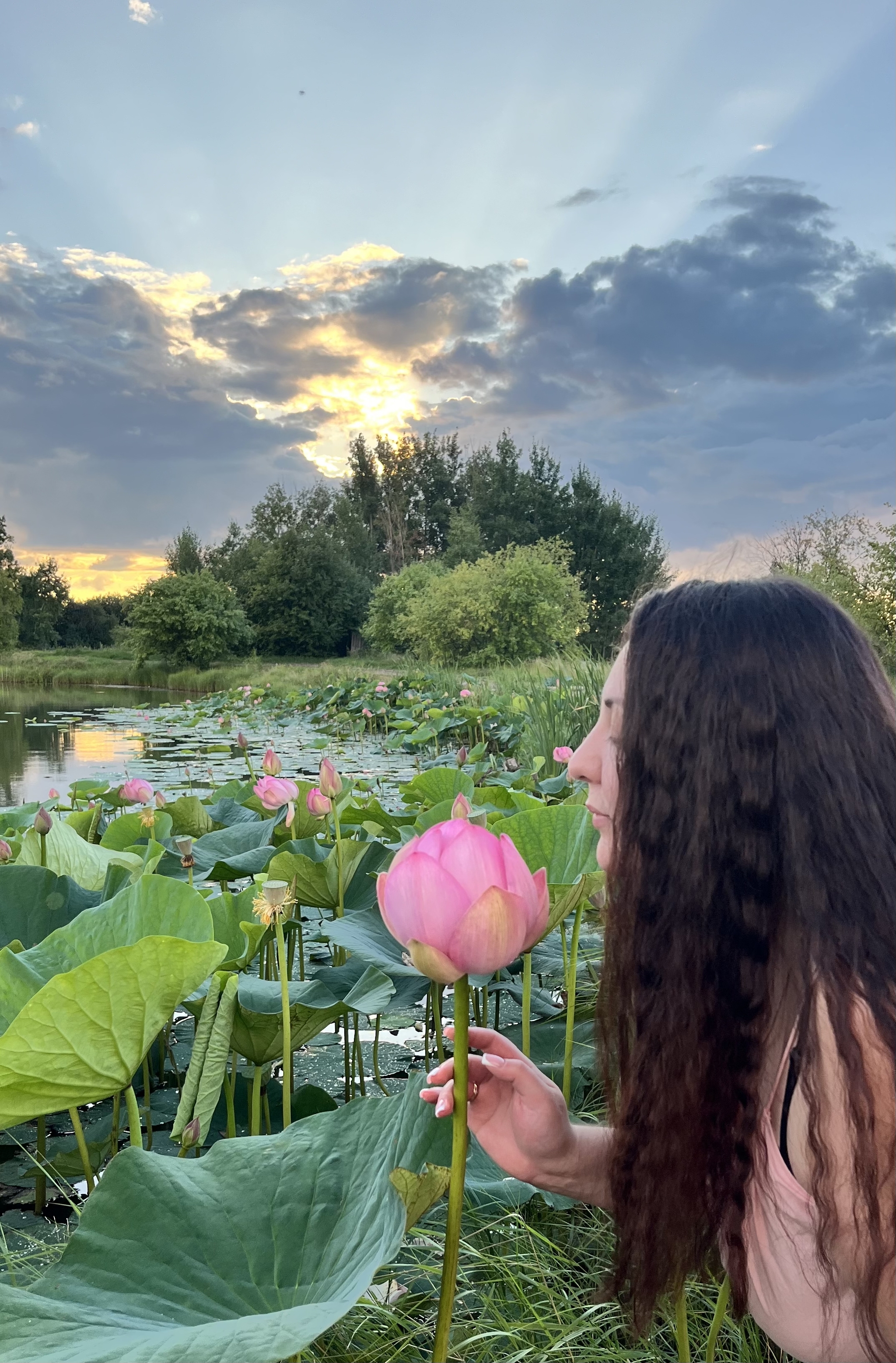 Beauty in the Amur region: lotus blossoms - Lotus, Flowers, Bloom, Nature, Amur region, Longpost, The photo