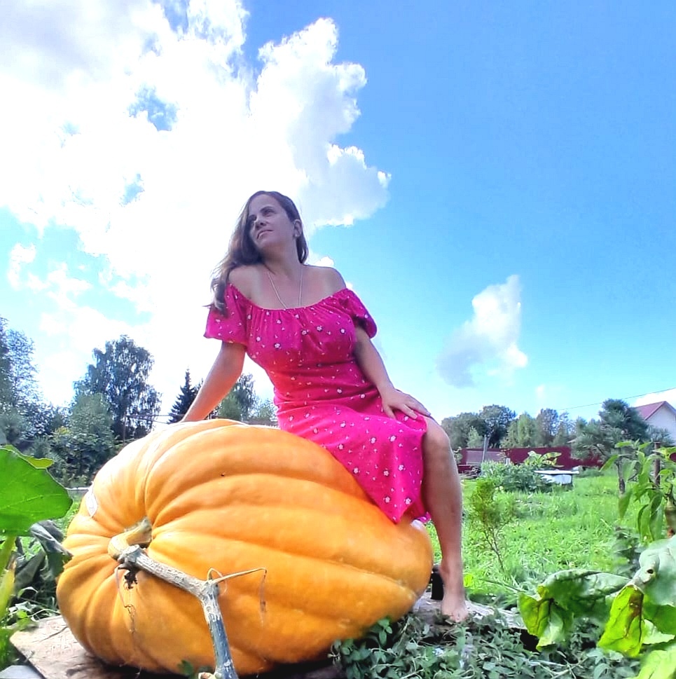 Giant Pumpkin Mole weighing 286kg - My, Pumpkin, Giant pumpkin, Giants, Gigantomania, Longpost