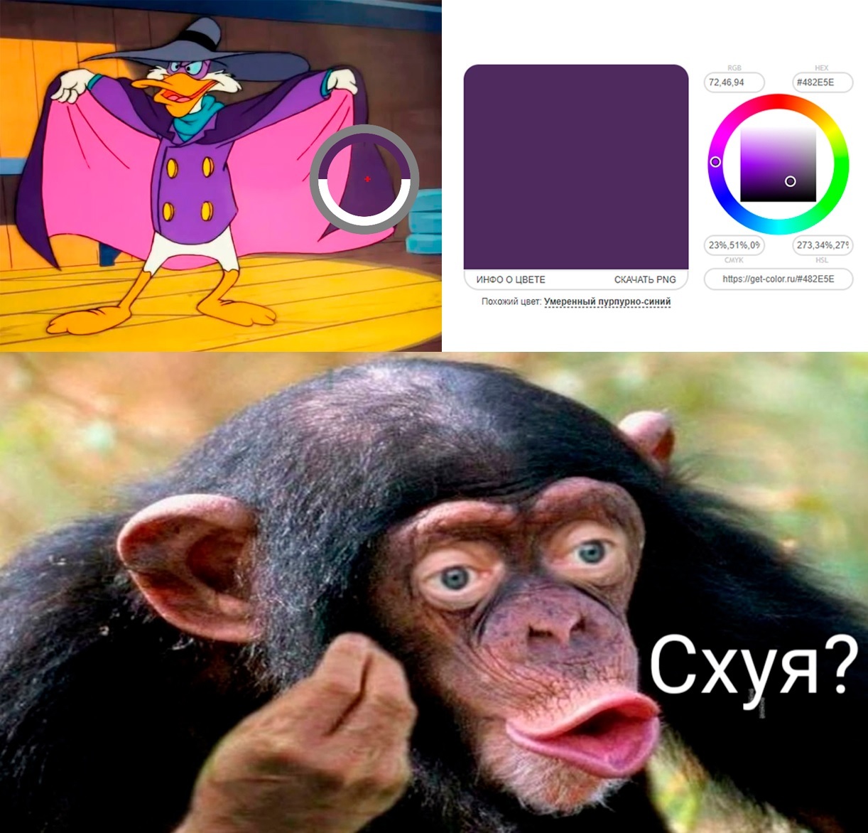 Moderate purple-blue Cloak - My, Memes, Black Cloak, Chimpanzee, Mat, Why?, Monkey