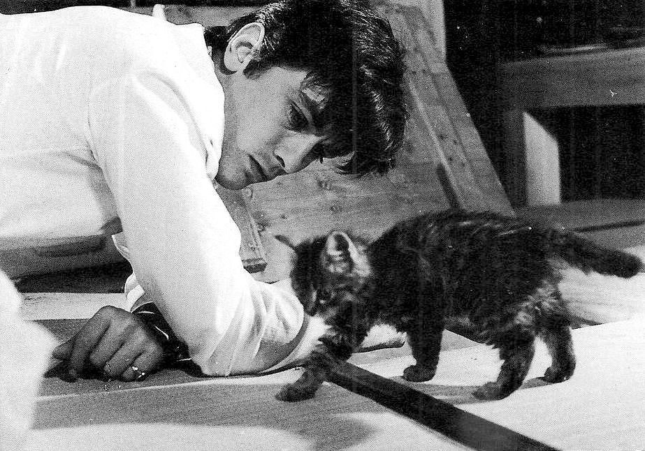 Alain Delon passed away today. Great actor, great man... - Homeless animals, Kindness, Dog, Charity, Dog lovers, Alain Delon, Actors and actresses, Friend, Care, Longpost, Obituary