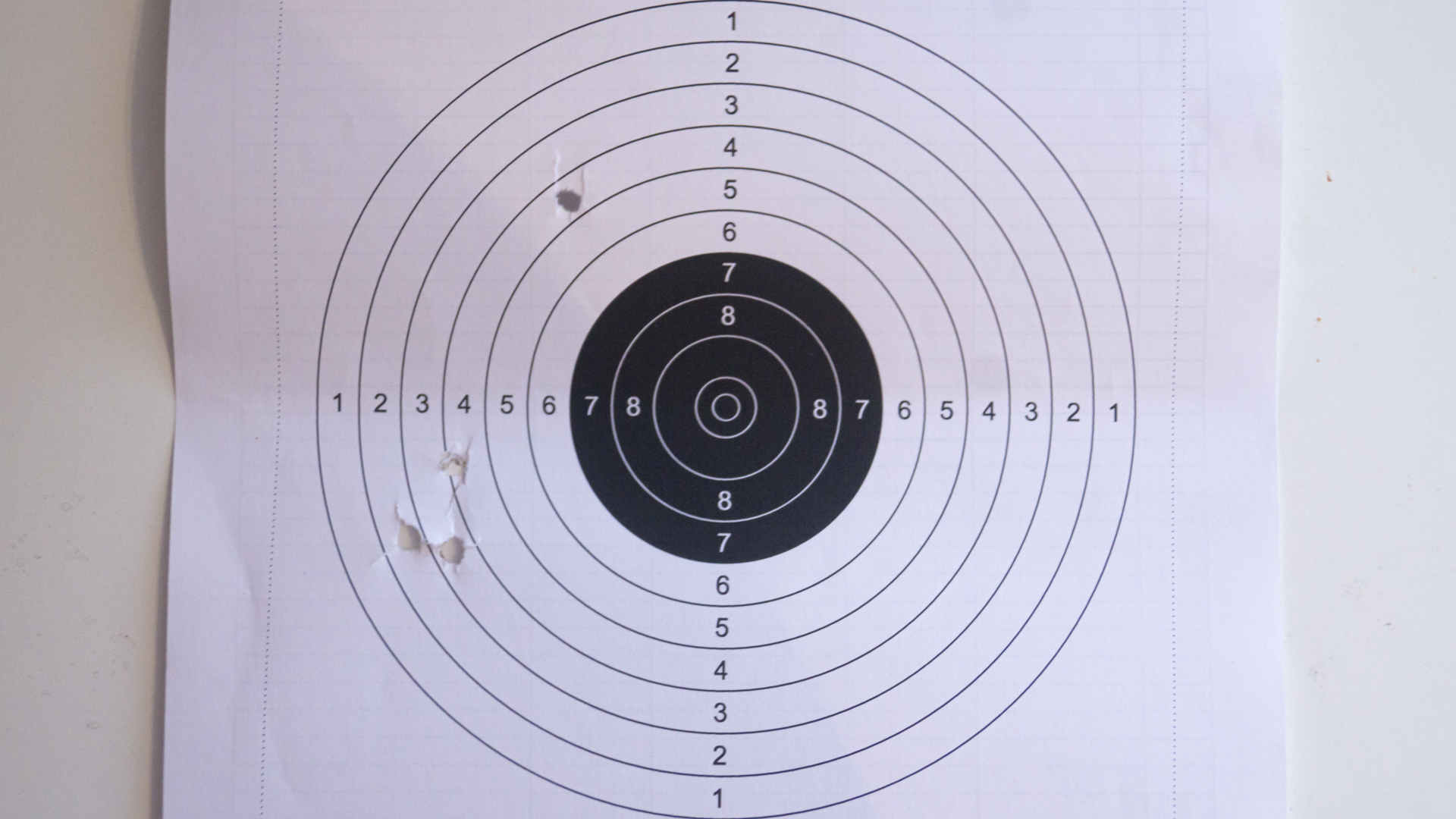 My path to the first youth level in shooting. Part 1. First shooting - My, Personal experience, Experience, Shooting, Yusuf DikeГ§, Olympic Games, Blog, Sport, Longpost, Air pistol, Experiment, Negative