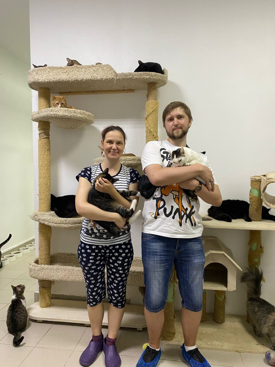 Volunteer mini-shelter Marusya and ponytails|SPB - Volunteering, Overexposure, Shelter, Animal shelter, Homeless animals, Стрим, Saint Petersburg, Help, Lost, In good hands, Good league, Video, Vertical video, VKontakte (link), YouTube (link), Longpost