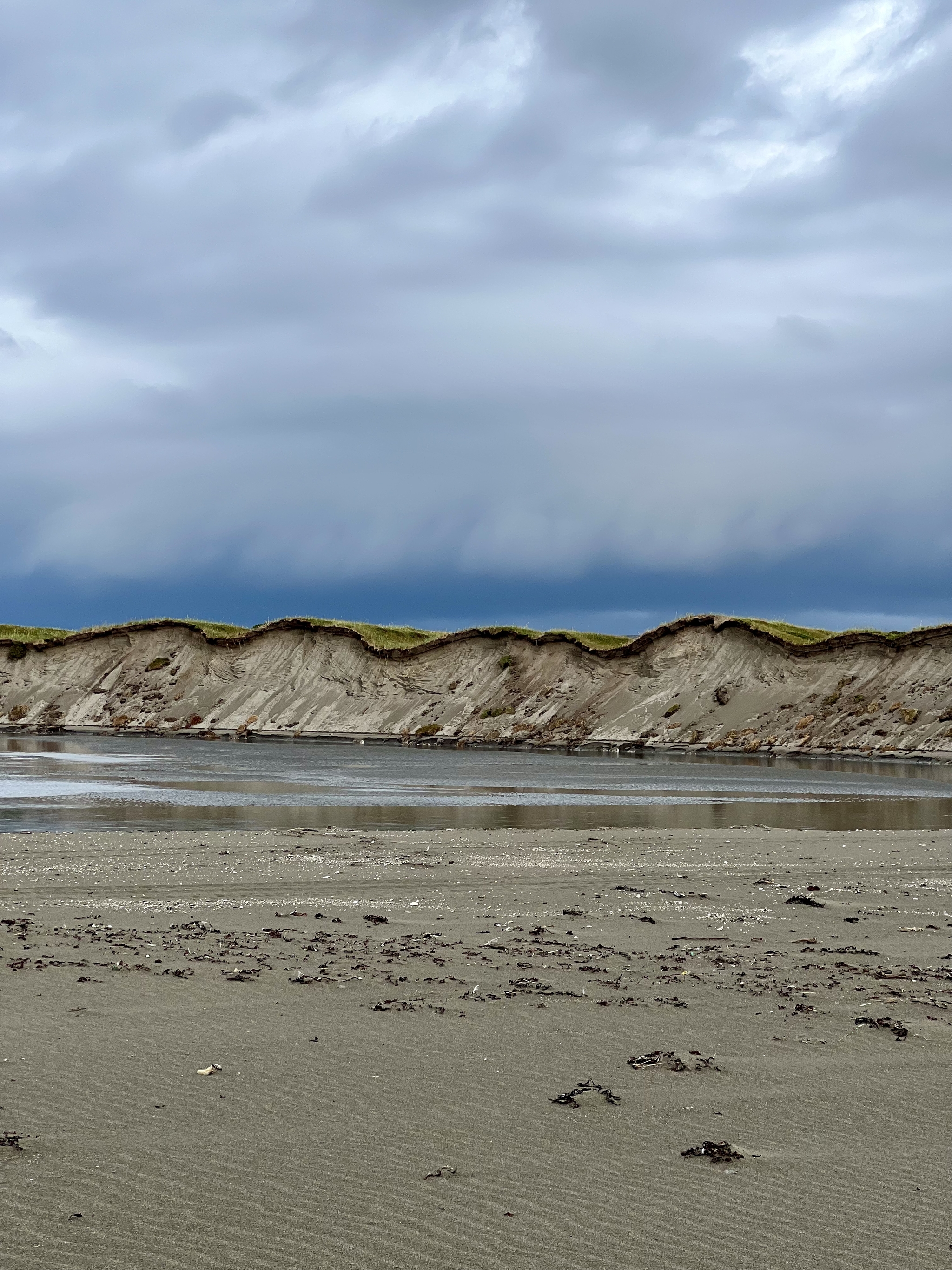 Good morning on the Rybachy Peninsula - My, Rybachy Peninsula, Nature, Good morning, Longpost