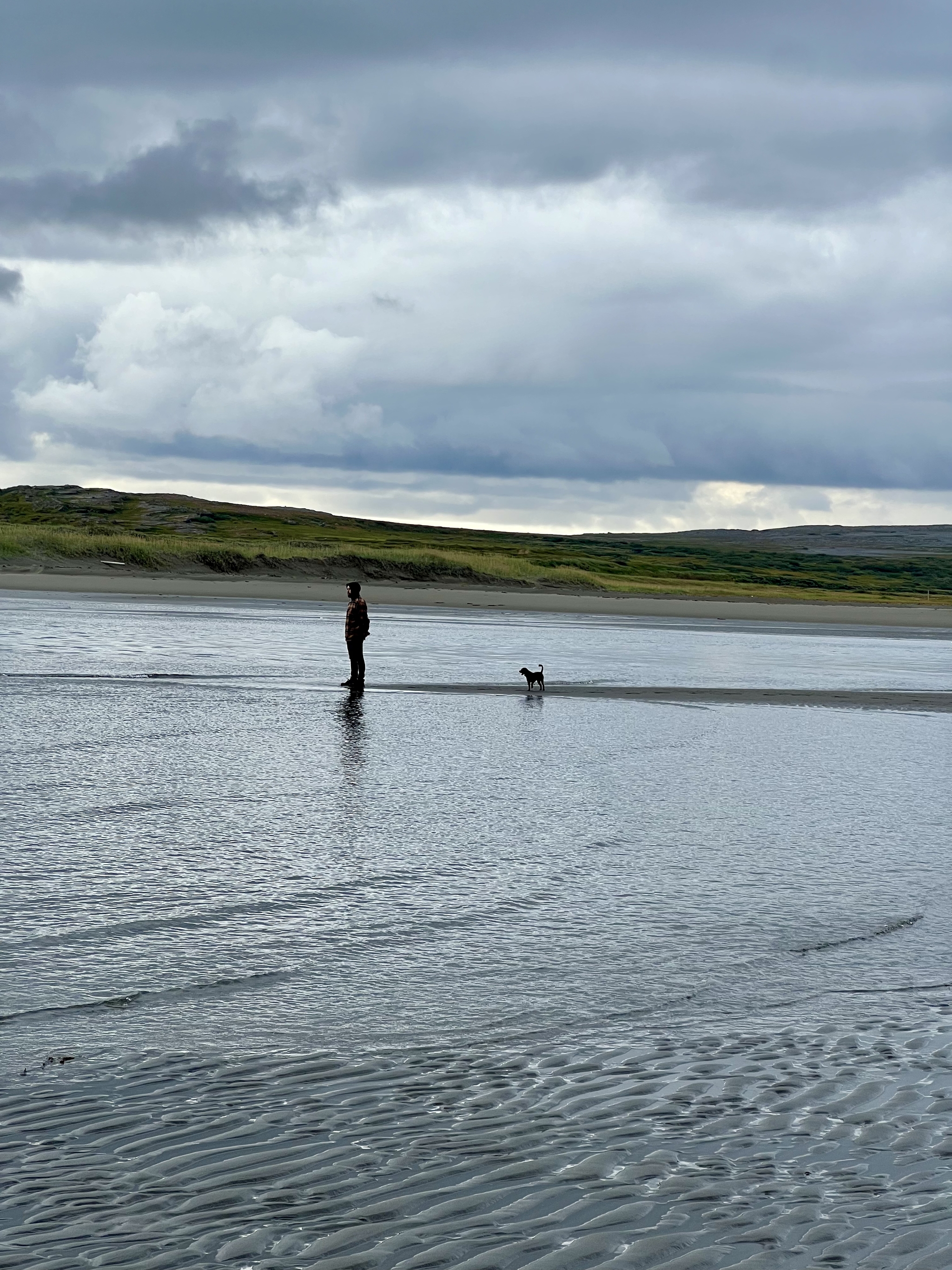 Good morning on the Rybachy Peninsula - My, Rybachy Peninsula, Nature, Good morning, Longpost