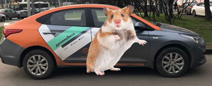 Hamster news: Central Bank rate and Delimobil report for the first half of 2024 - My, Stock market, Investing in stocks, Investments, Stock exchange, Central Bank of the Russian Federation, Longpost