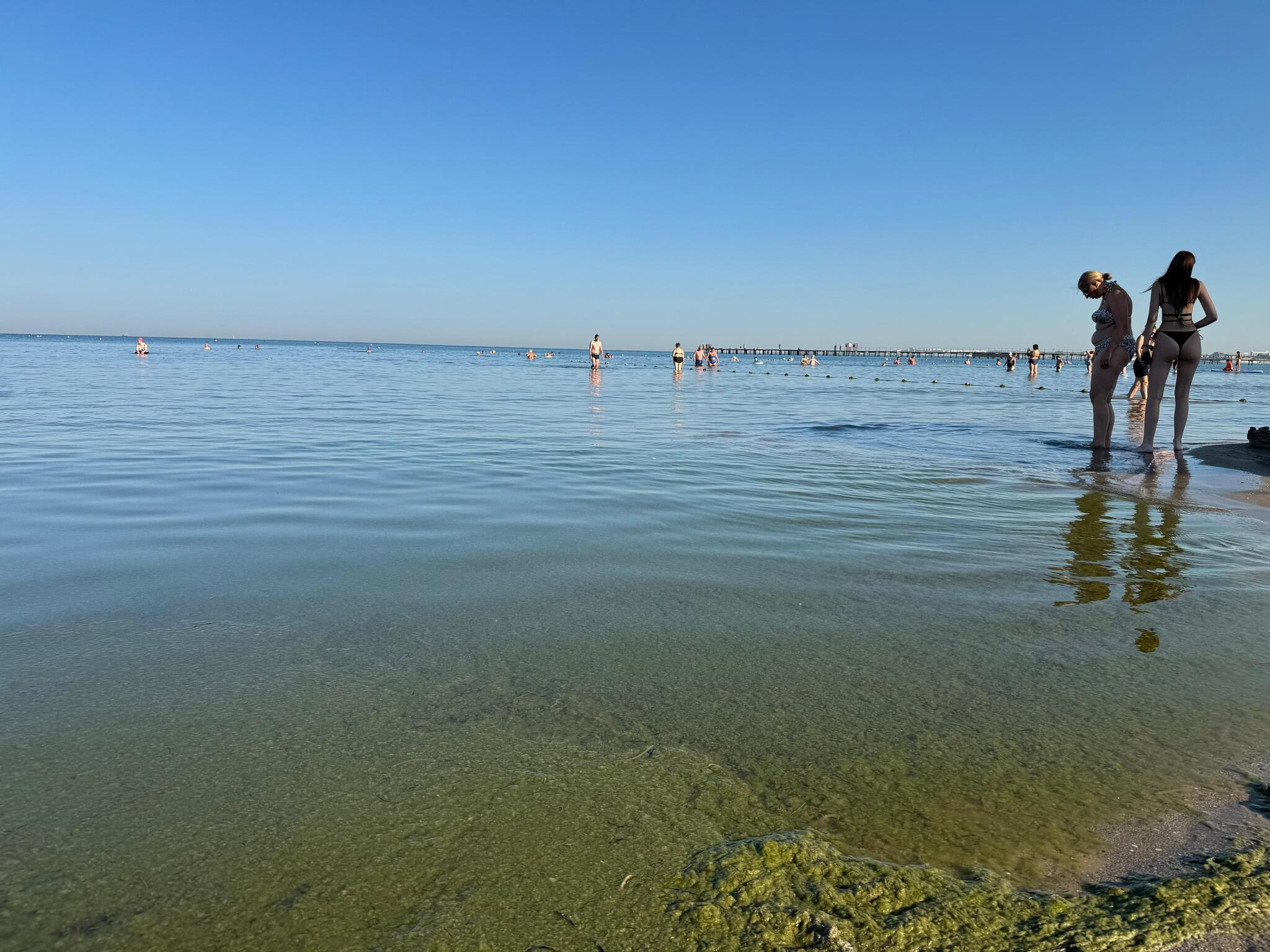 Welcome to the swamp. Anapa - My, Anapa, Tourism, Travels, Negative, Relaxation, Краснодарский Край, Resorts of the Krasnodar Territory, Resorts in Russia