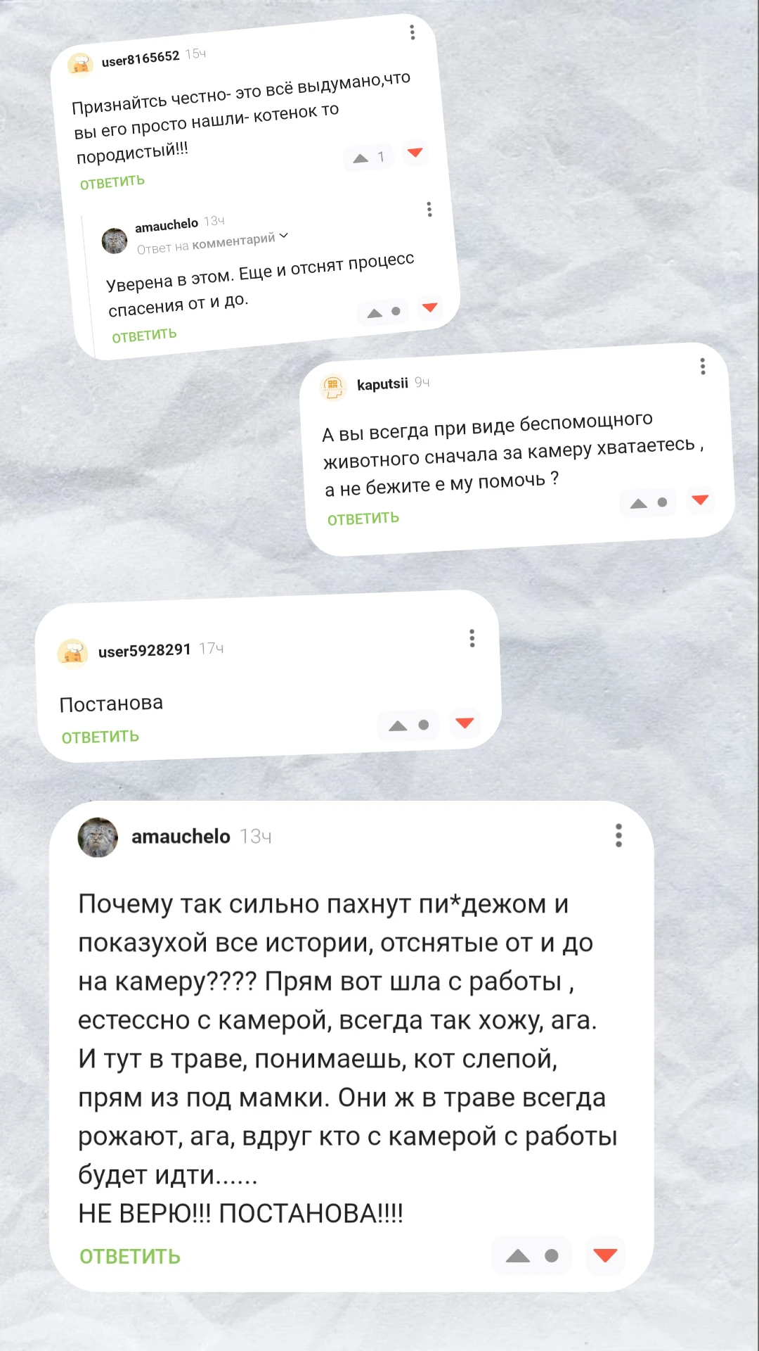 Продолжение поста «Не ты выбираешь кота, а кот выбирает тебя...» - Моё, Кот, Котята, Находка, Домашние животные, Ответ на пост, Длиннопост, Волна постов