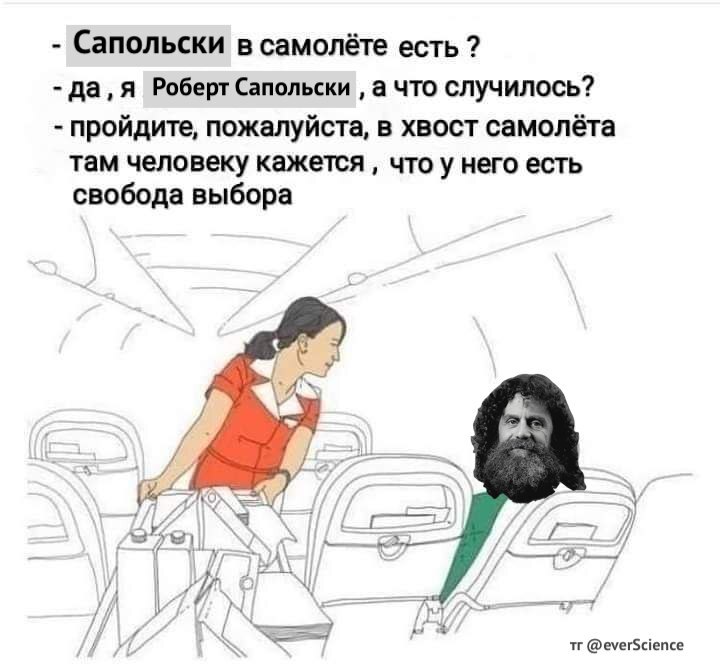 Incident on the plane - The science, Biology, Memes, Humor, Robert Sapolsky, Brain