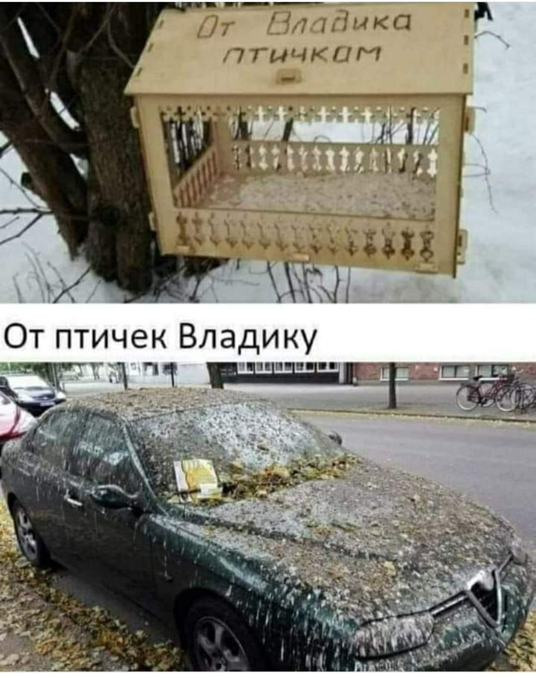 Vladik did something wrong - Humor, Picture with text, Auto, Repeat