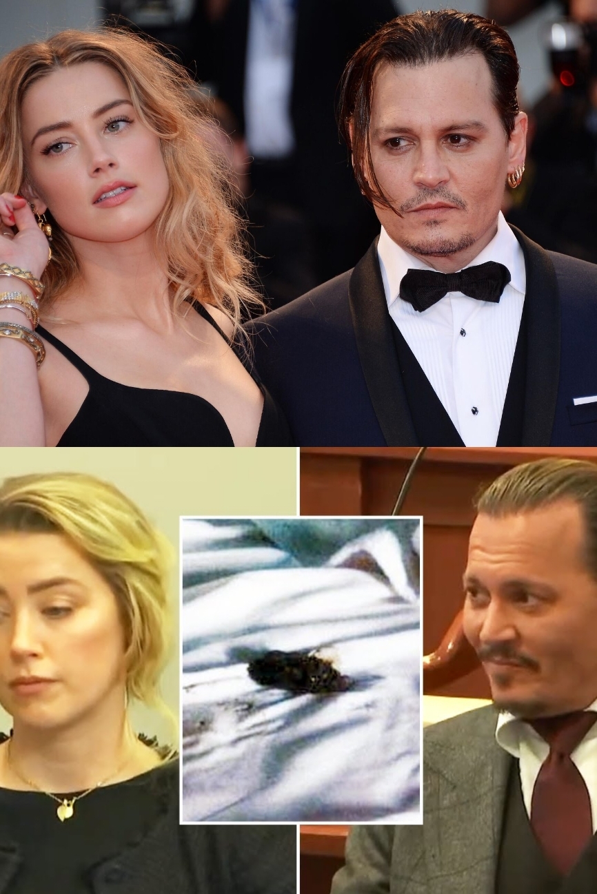 It was - it became - Johnny Depp, Amber Heard, A wave of posts, It Was-It Was, Humor, Feces