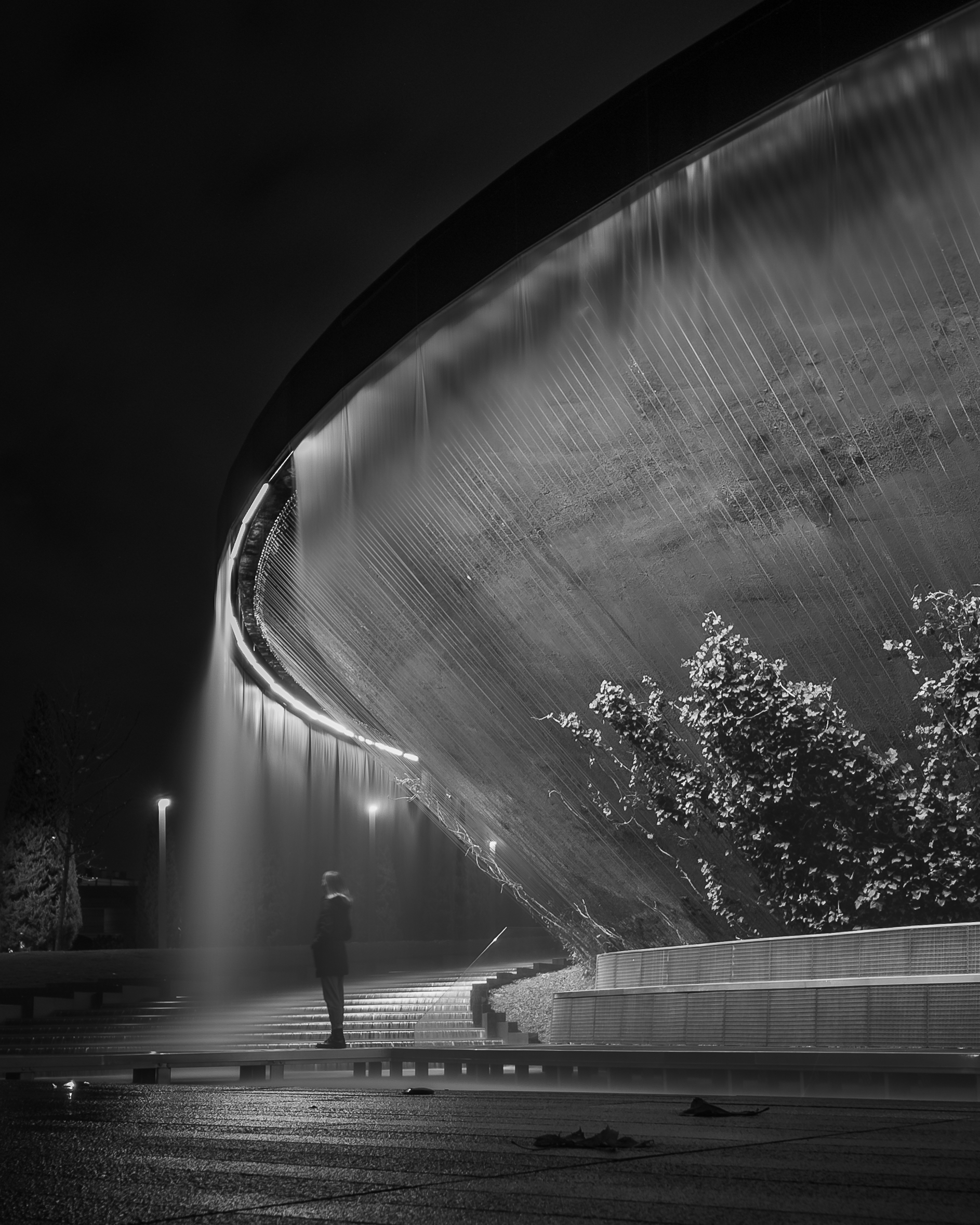 Girl in the park Krasnodar - My, Black and white photo, Mobile photography, The photo, Street photography, Long exposure, Krasnodar, Krasnodar Park, Galitsky Park, Girls, Night, Night city