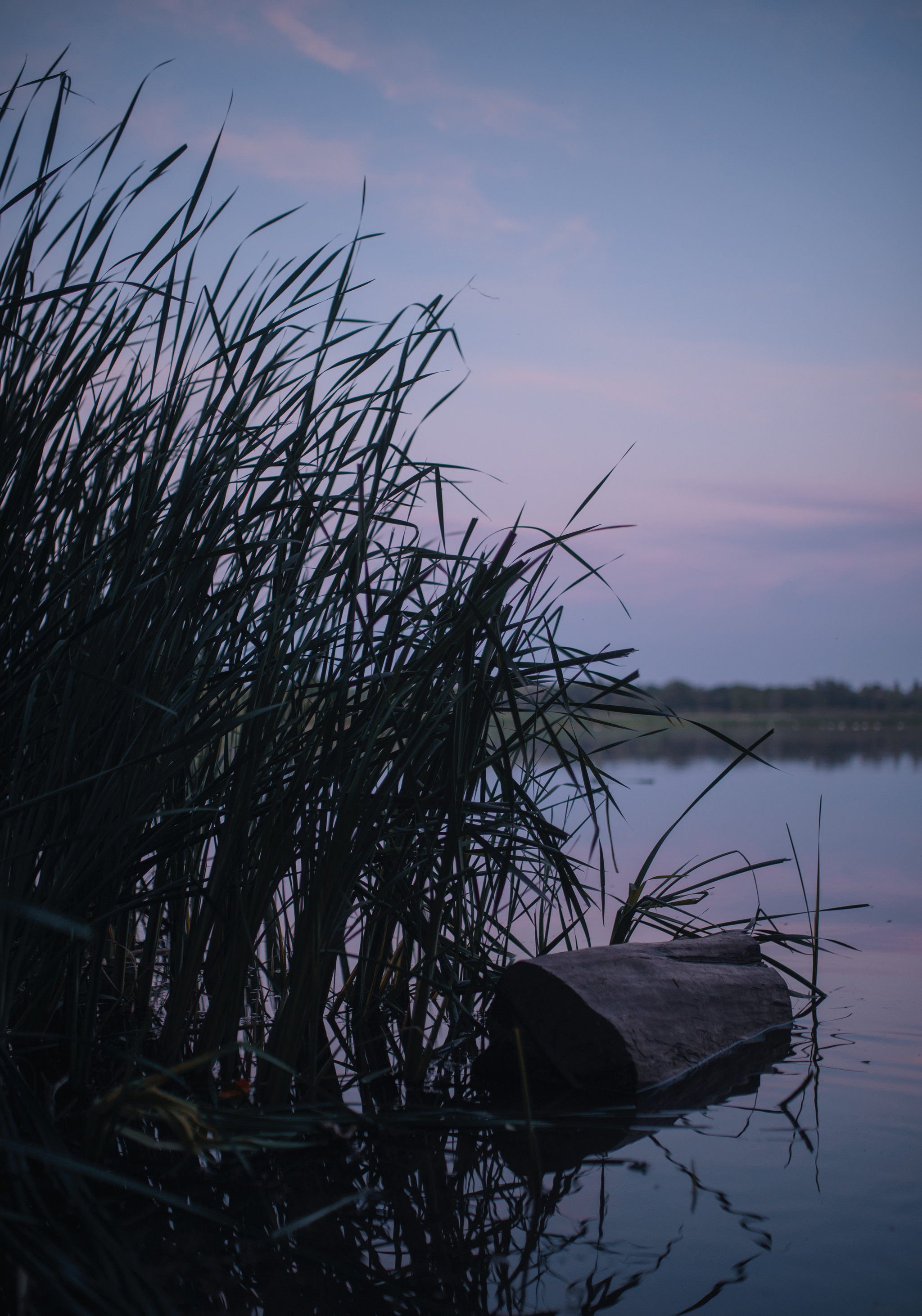 Quiet summer evening on the lake shore - My, Uryupinsk, Volgograd region, Lake, The photo, Longpost, Evening, Nature