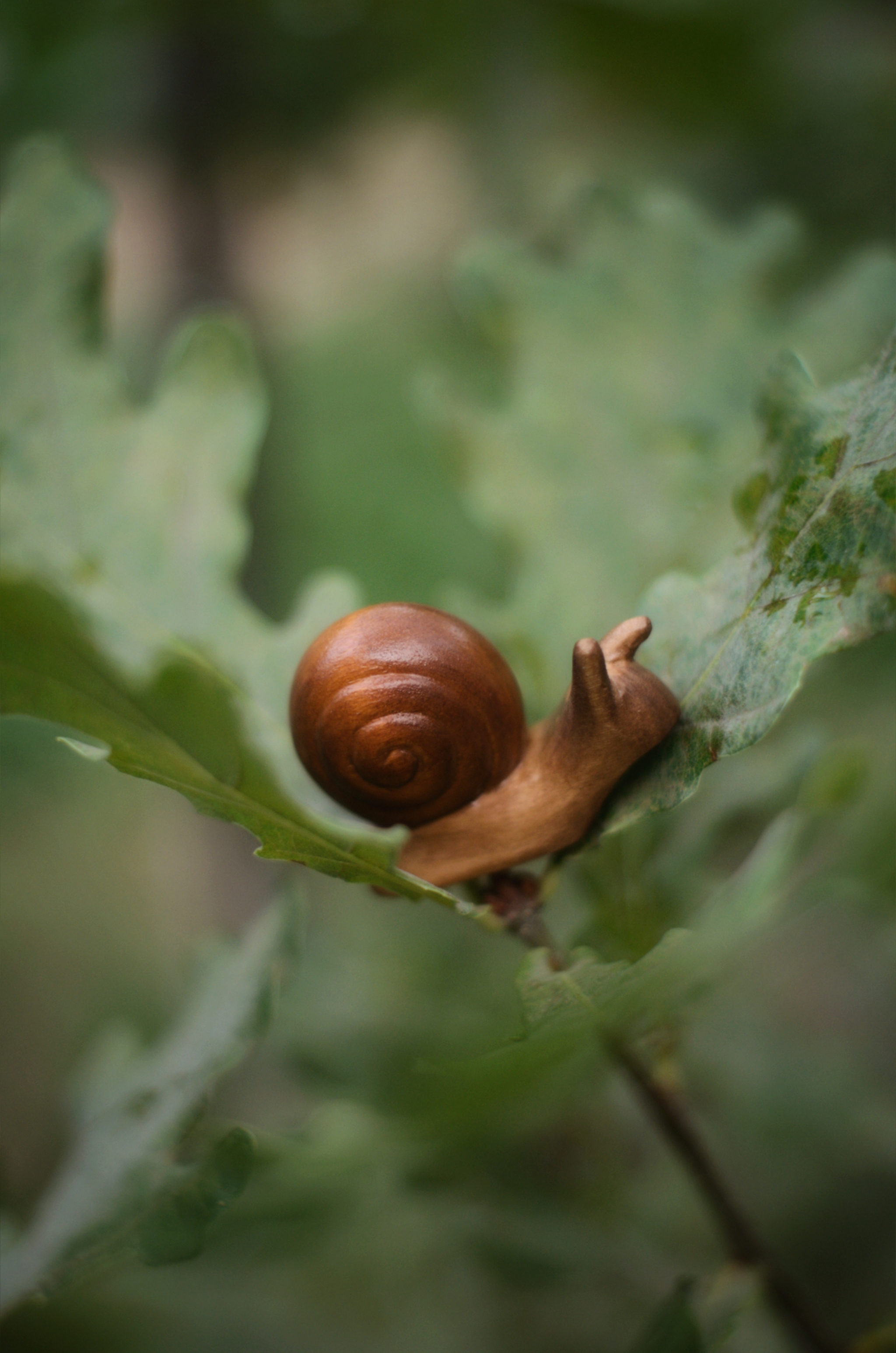 Wood snail - My, Wood carving, Snail, Wood products, Needlework without process, Longpost