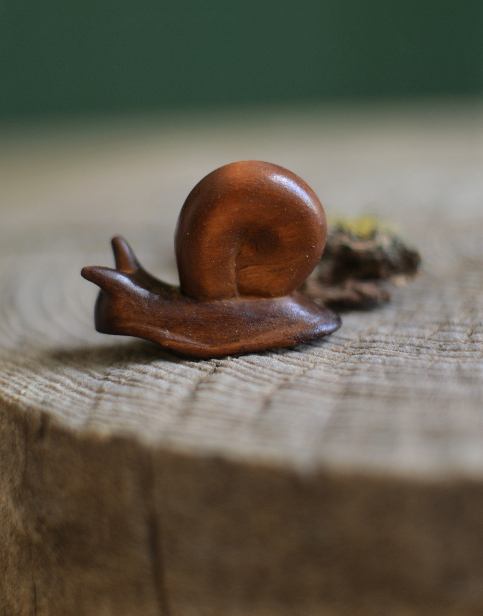 Wood snail - My, Wood carving, Snail, Wood products, Needlework without process, Longpost