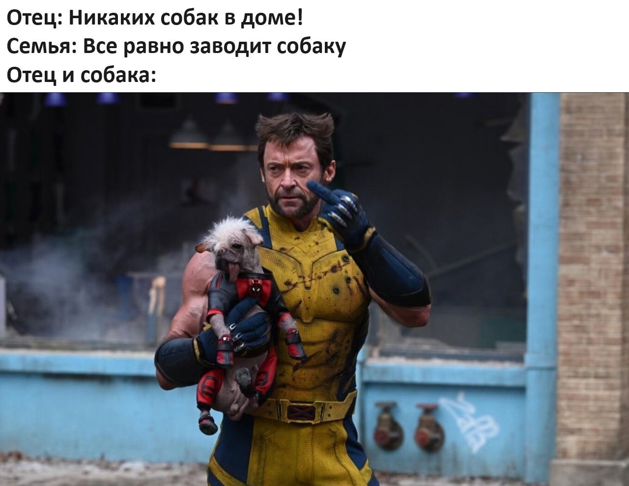 Father and dog - Humor, Picture with text, Dog, Memes, Wolverine (X-Men), Telegram (link)