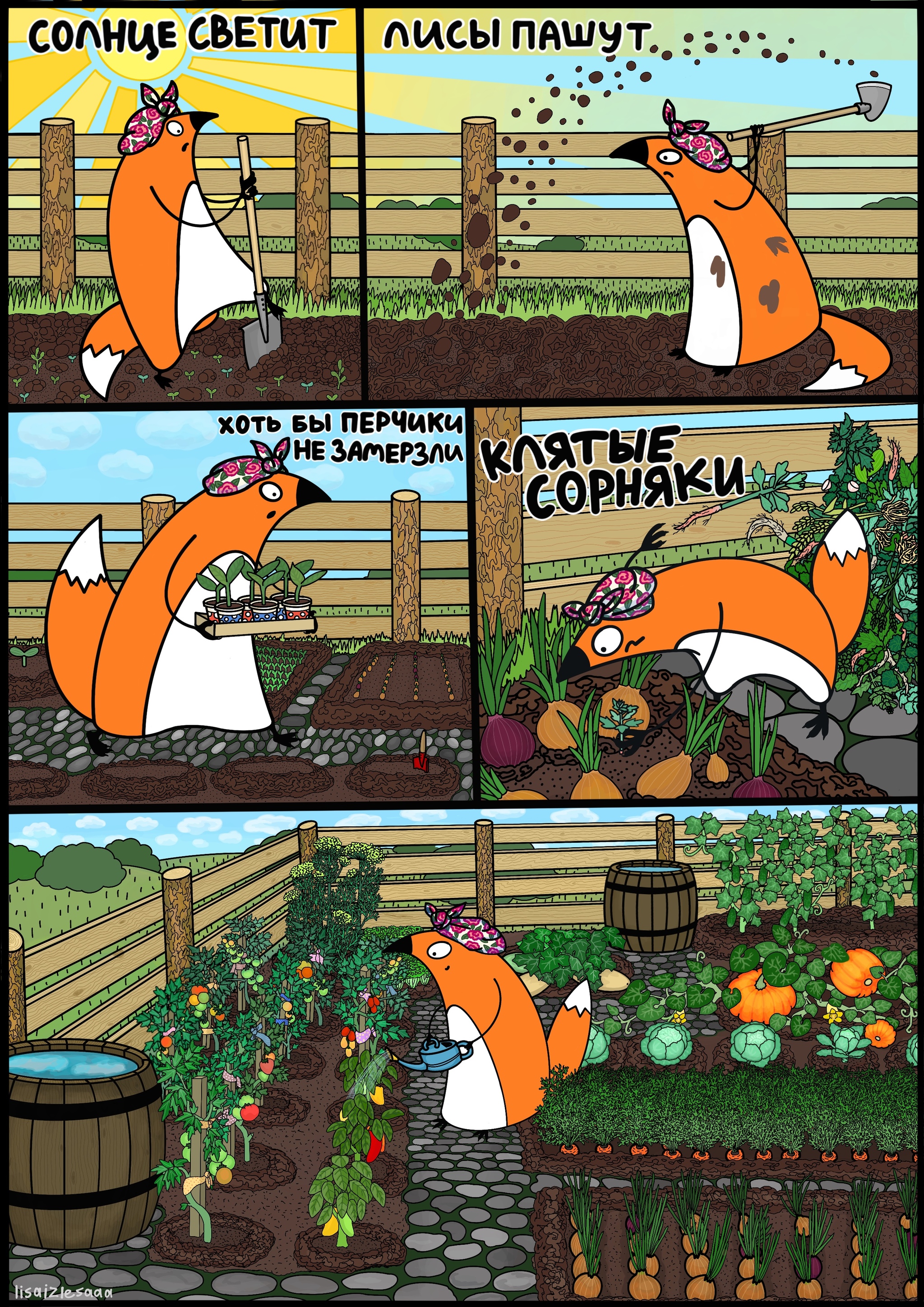 Summer fun - My, Garden, Vegetables, Summer, Comics, Author's comic, Care, Fox