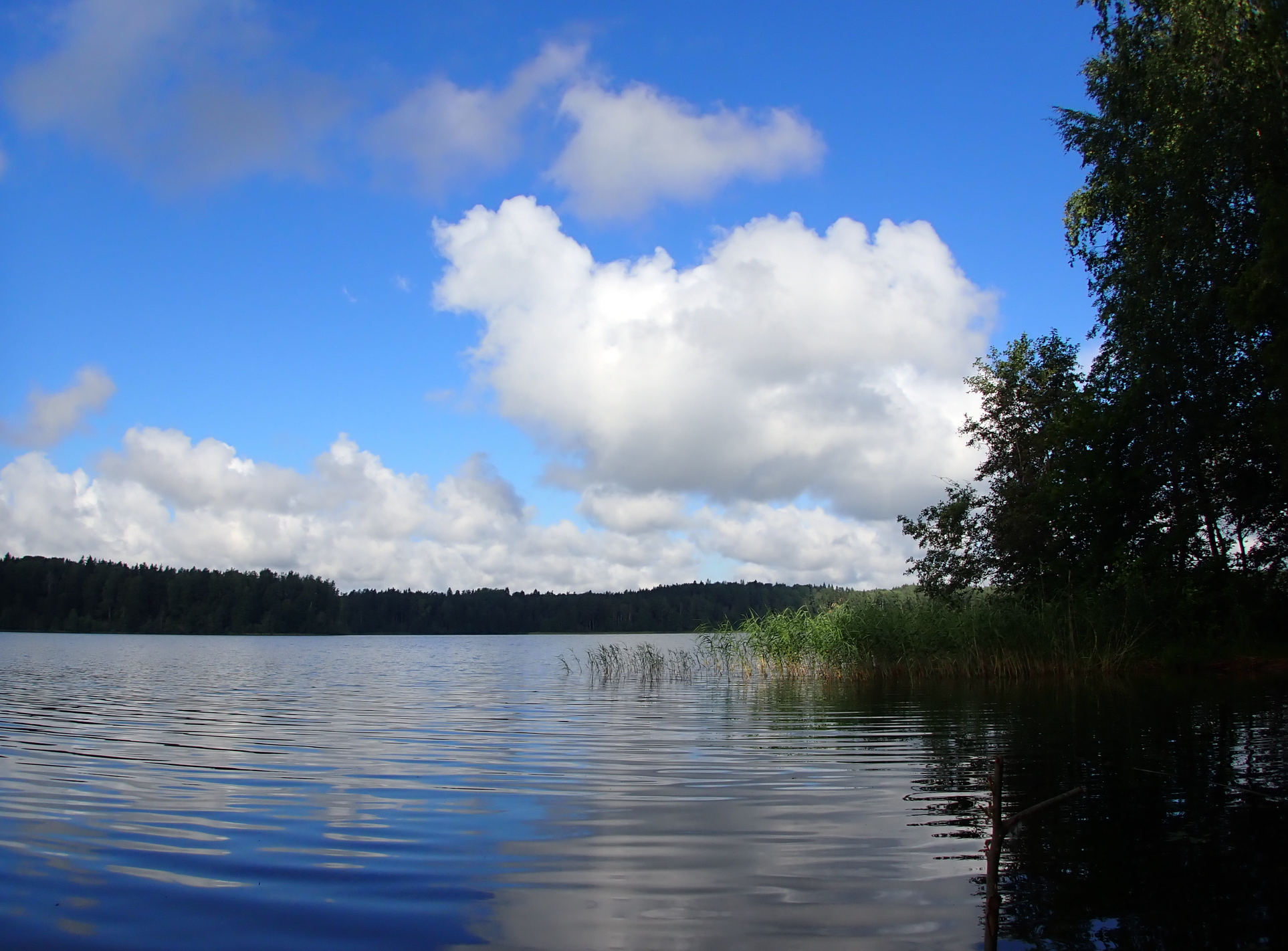 Valdai (Lake Dinner) part 2 - My, Valdai, The photo, Beautiful view, Lake, The nature of Russia