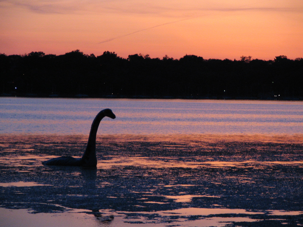 The Hunt for the Loch Ness Monster That Nearly Ended in Disaster - Loch Ness monster, Monster, Expedition, Myths, Superstition, Adventures, Legend, Paranormal