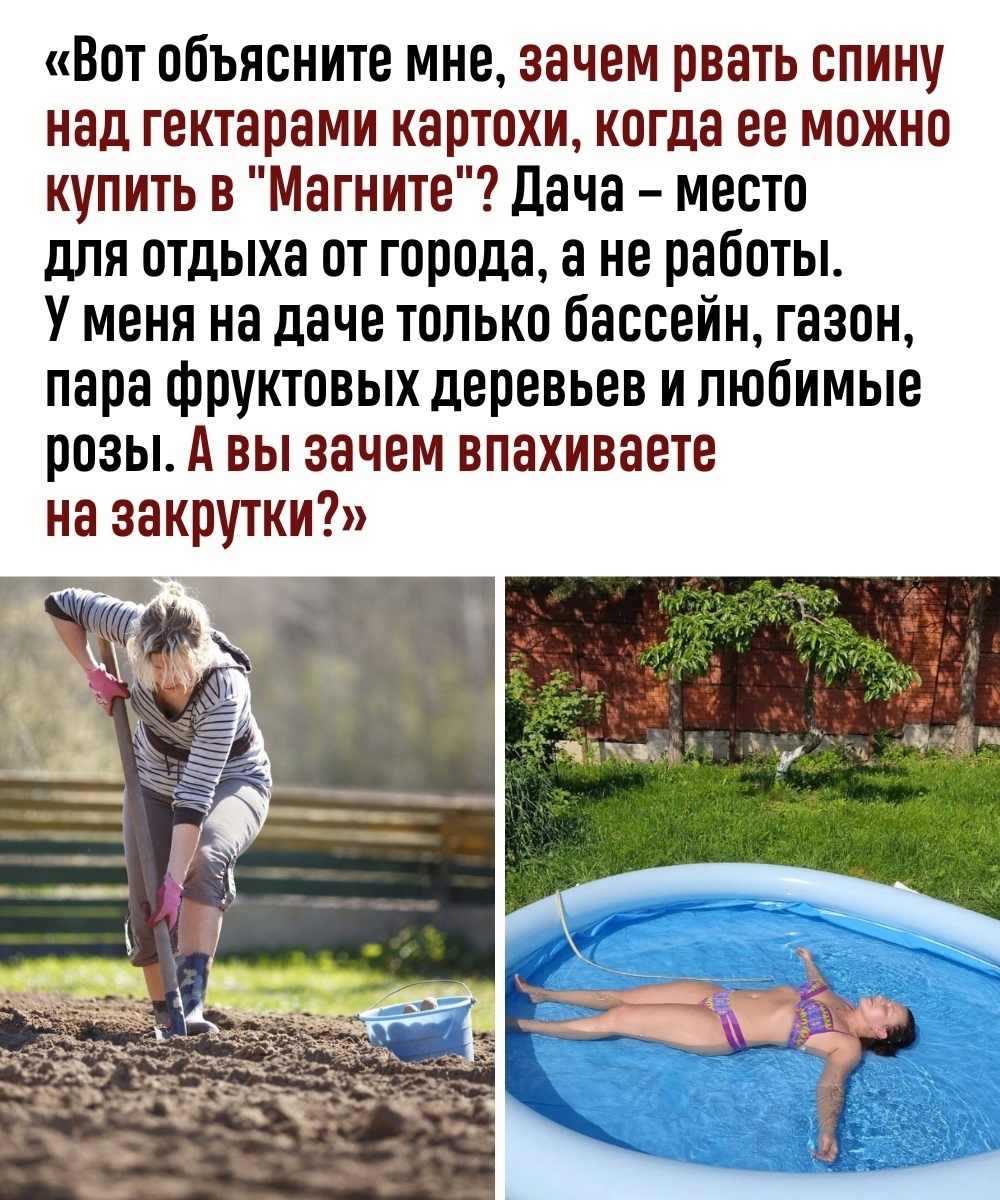 What is your opinion? - Humor, Picture with text, Dacha, Garden