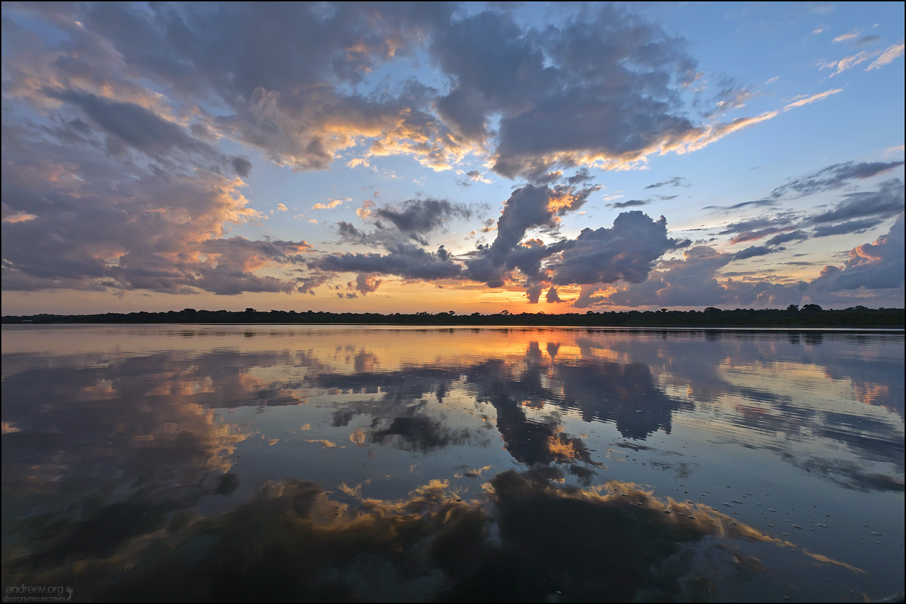 Brazilian Amazon. Review - My, Amazon, Amazon, Brazil, Jungle, The photo, Travels, Longpost