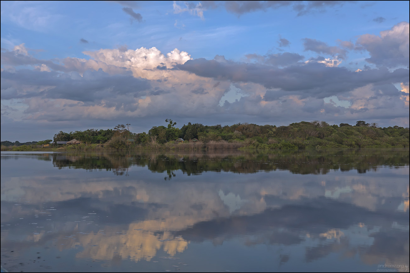 Brazilian Amazon. Review - My, Amazon, Amazon, Brazil, Jungle, The photo, Travels, Longpost