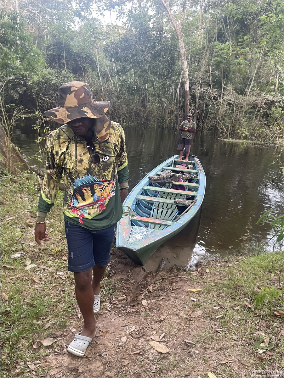 Brazilian Amazon. Review - My, Amazon, Amazon, Brazil, Jungle, The photo, Travels, Longpost