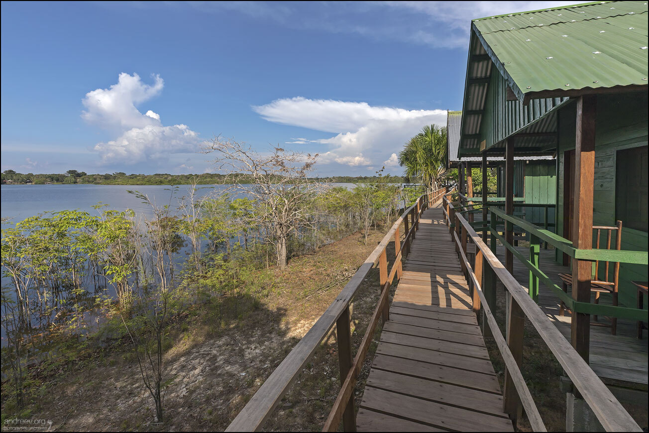 Brazilian Amazon. Review - My, Amazon, Amazon, Brazil, Jungle, The photo, Travels, Longpost