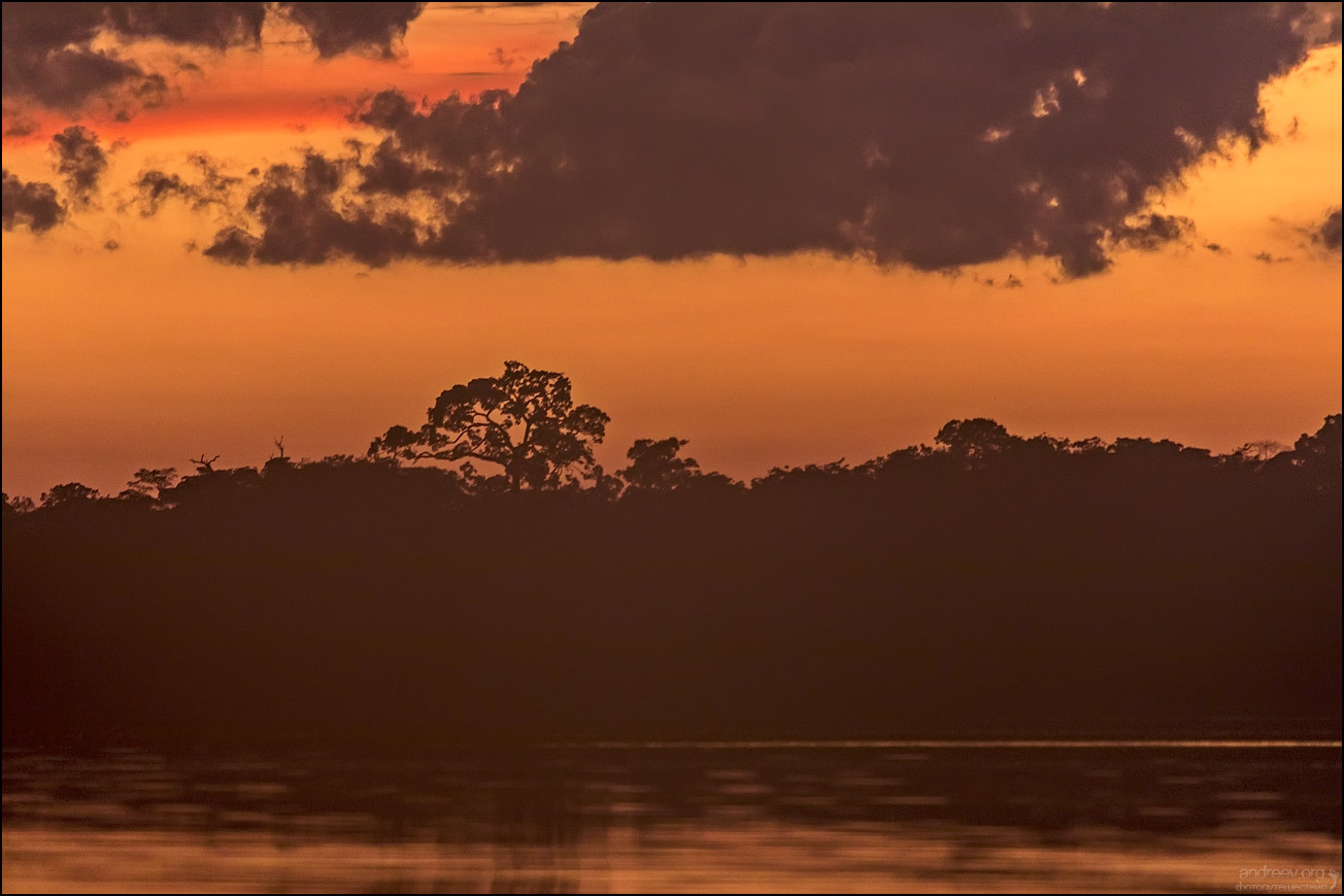 Brazilian Amazon. Review - My, Amazon, Amazon, Brazil, Jungle, The photo, Travels, Longpost